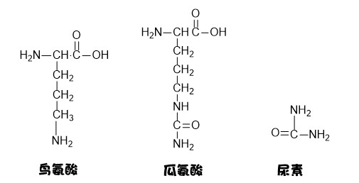 嘧啶胺厂家